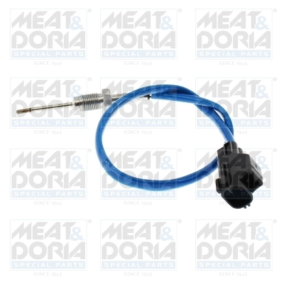 Sensor, exhaust gas temperature
